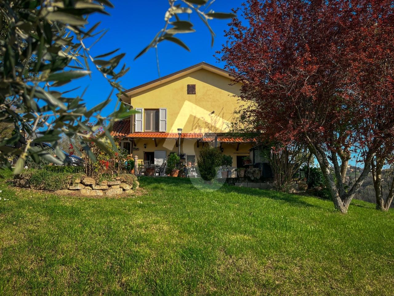 Vendita Pentavani, Rosora foto