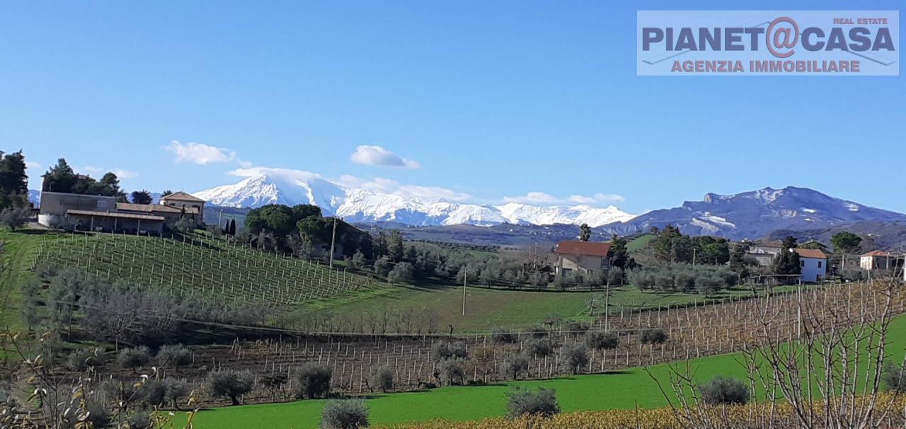 Vendita Terreno, Offida foto