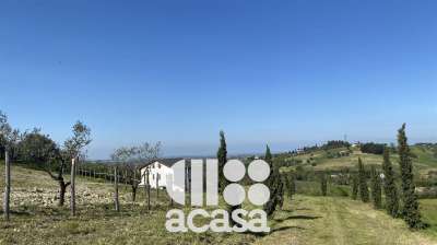 Vendita Azienda agricola, Rimini Vendita Azienda agricola, Rimini