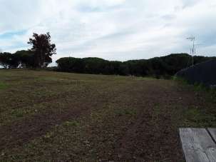 Vendita Terreno Agricolo, Roma Vendita Terreno Agricolo, Roma