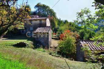 Vendita Multivani, Pescaglia