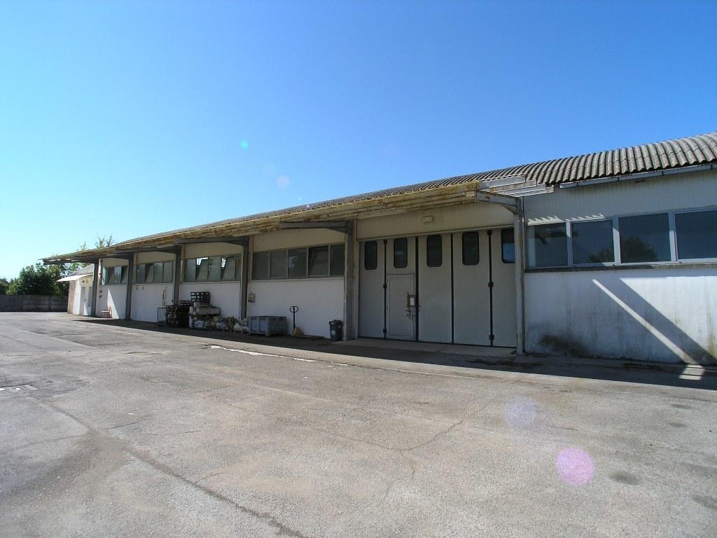 Vendita Industriale, Precenicco Vendita Industriale, Precenicco foto