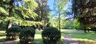 Vendita Quadrivani, Brescia