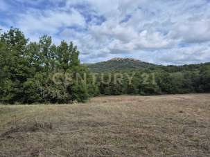 Vendita Terreni, Civitella Paganico Vendita Terreni, Civitella Paganico