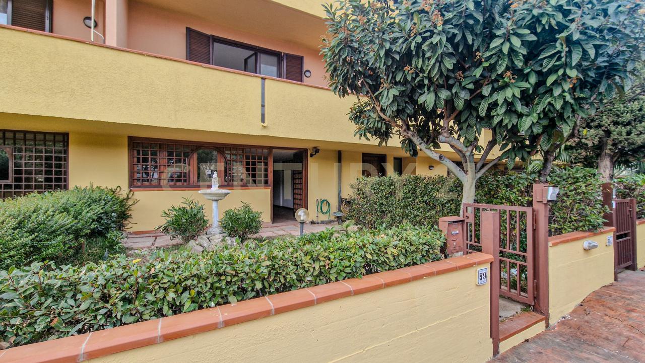 Vendita Multivani, Grosseto foto