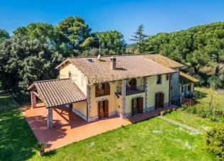 Vendita Multivani, Grosseto Vendita Multivani, Grosseto