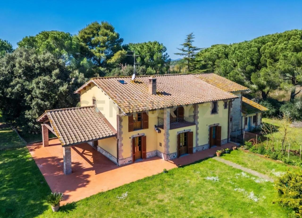 Vendita Multivani, Grosseto foto