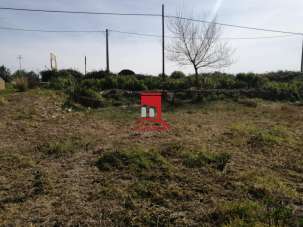 Vendita Loft, mansarde e attici, Trapani