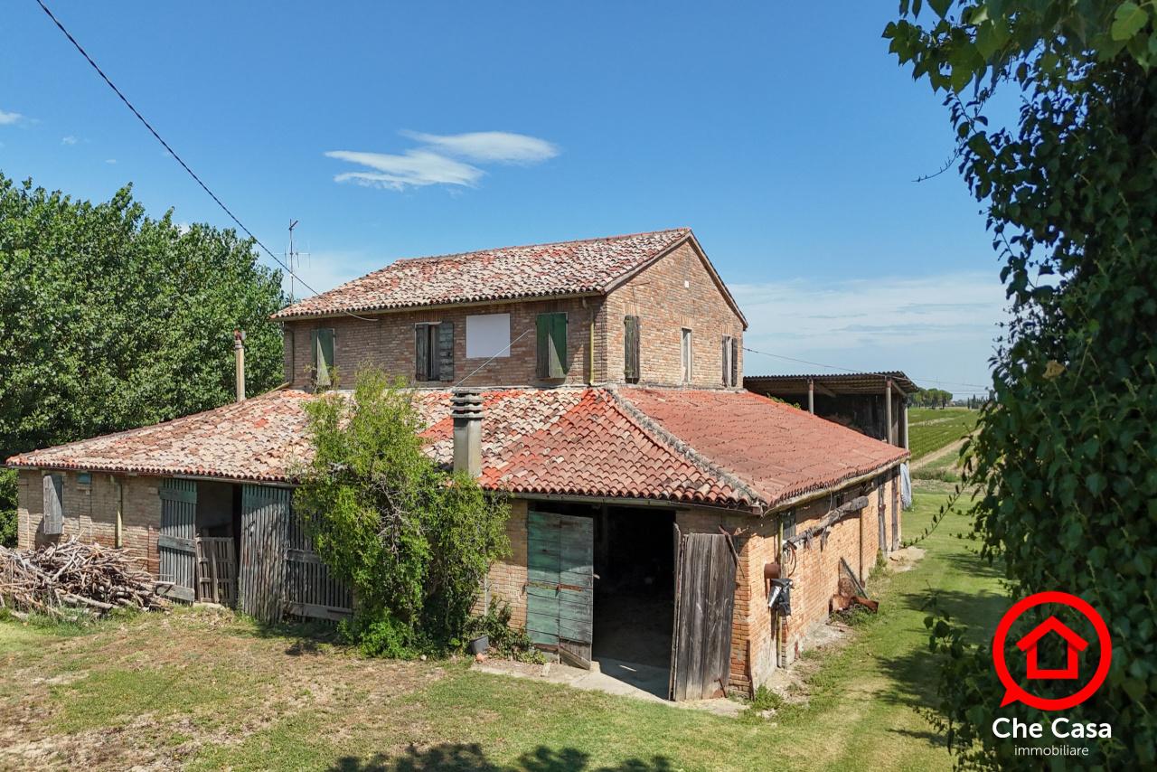 Vendita Esavani, Ravenna foto
