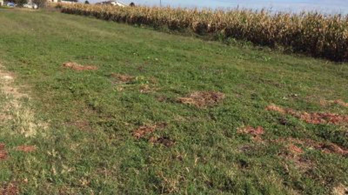 Vendita Terreni, Villata Vendita Terreni, Villata foto