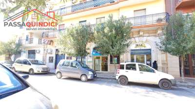 Vendita vendita, Triggiano