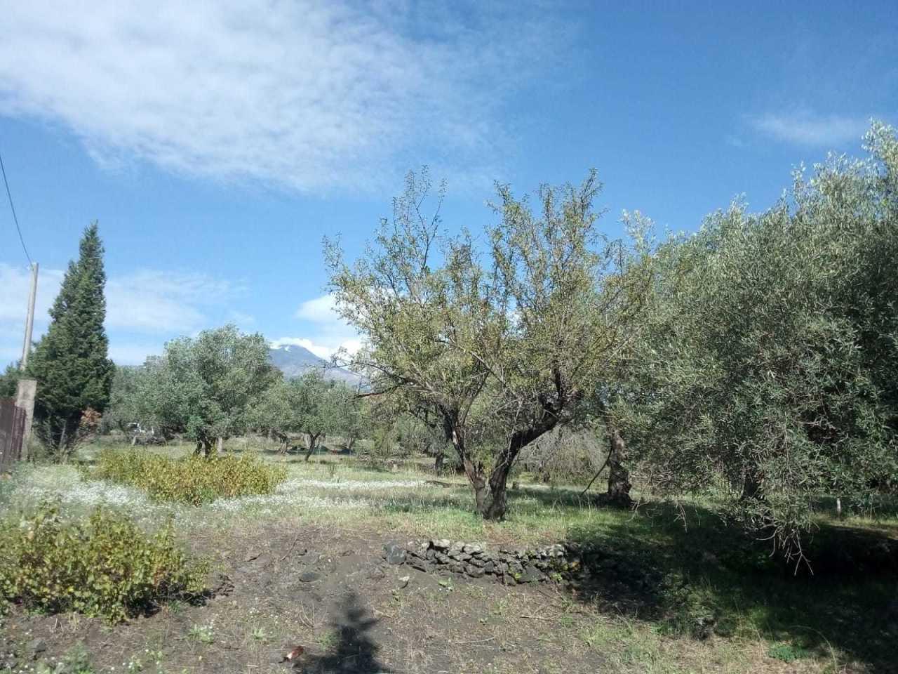 Vendita Terreni, Pedara Vendita Terreni, Pedara foto