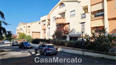 Vendita Trivani, Marino