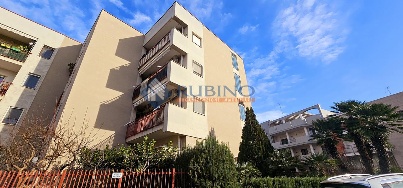 Vendita Quadrivani, Rutigliano foto