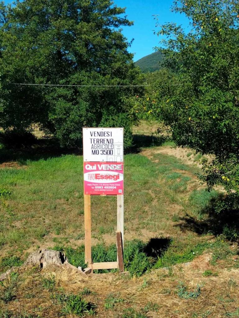 Vendita Monovano, Lucca foto