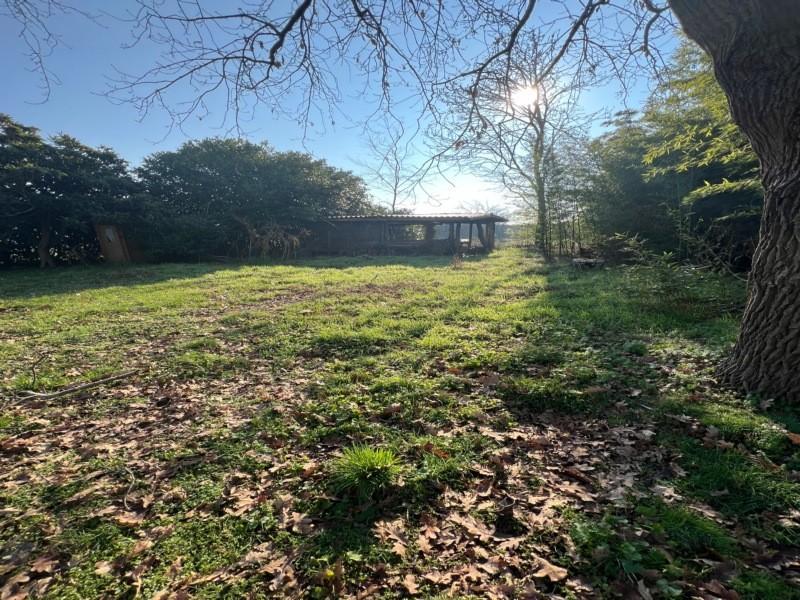 Vendita Terreno Agricolo, Corbetta Vendita Terreno Agricolo, Corbetta foto