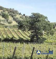 Vendita Loft, mansarde e attici, Piombino Vendita Loft, mansarde e attici, Piombino