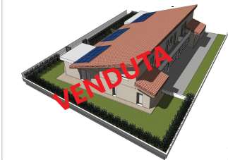 Vendita vendita, Zevio