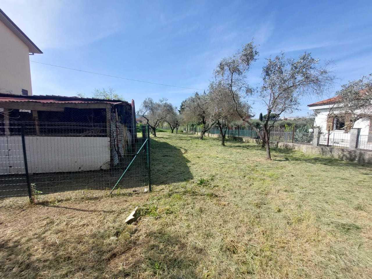 Vendita Quadrivani, Sarzana foto