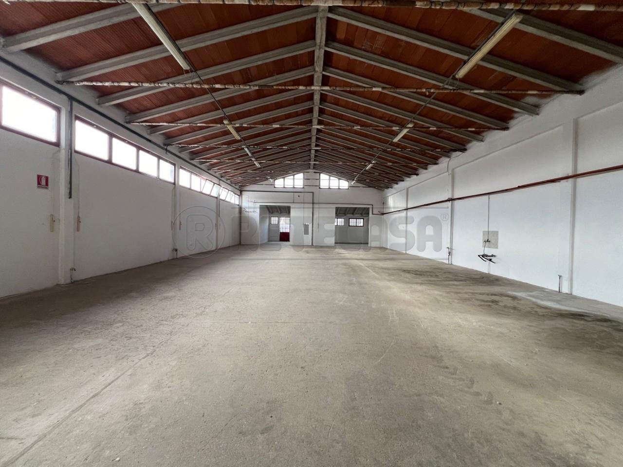 Affitto Trivani, Mussolente foto