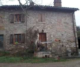 Vendita Multivani, Casasco