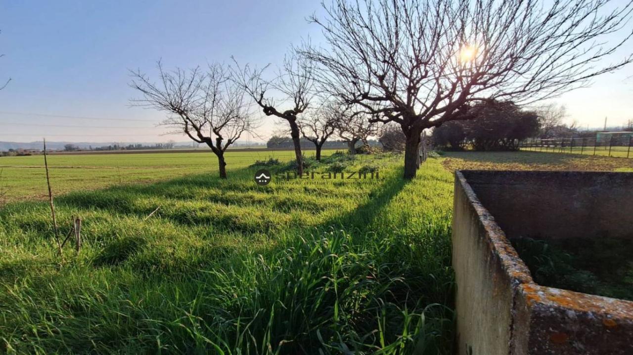 Vendita Trivani, Fano foto