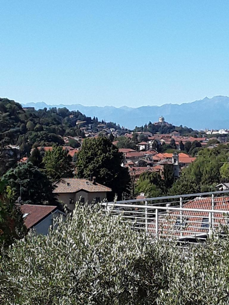 Affitto Villa, Torino foto