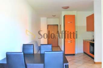 Affitto Bivani, Parabiago