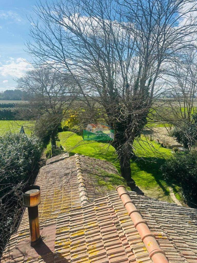 Vendita Quadrivani, Ravenna Vendita Quadrivani, Ravenna foto