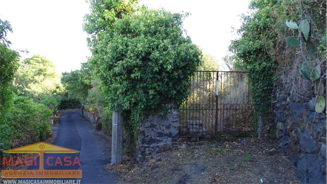 Vendita vendita, Mascalucia Vendita vendita, Mascalucia foto