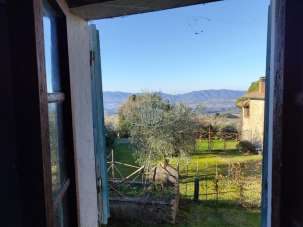 Vendita Multivani, Reggello Vendita Multivani, Reggello