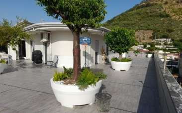 Vendita Quadrivani, San Felice a Cancello