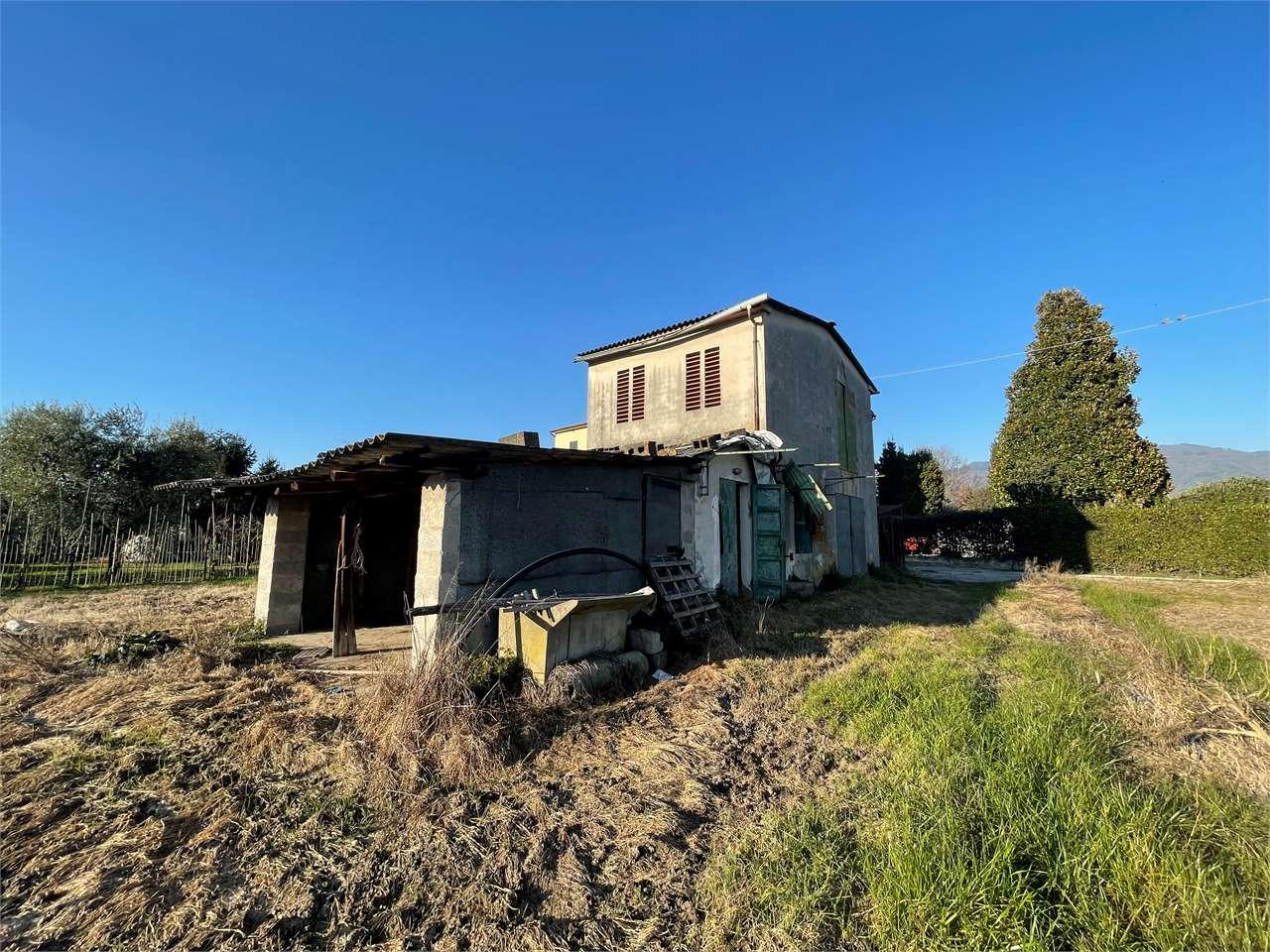 Vendita vendita, Lucca Vendita vendita, Lucca foto