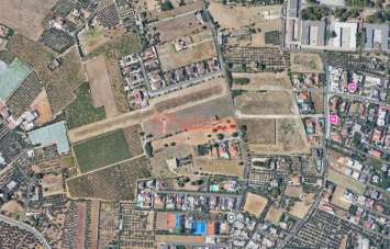 Vendita vendita, Trani