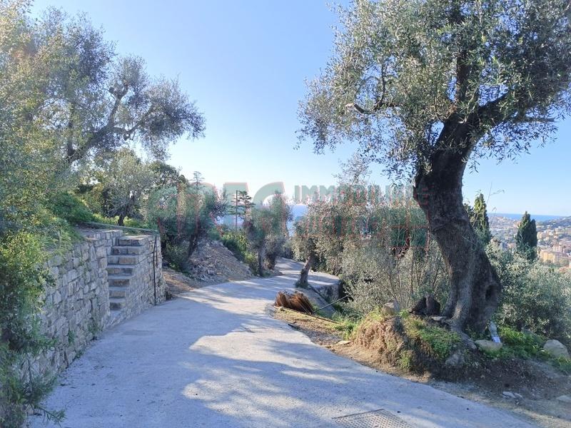 Vendita Pentavani, Imperia foto