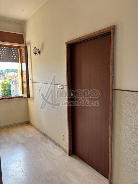 Vendita Quadrivani, Occhiobello foto