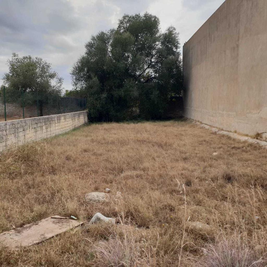 Vendita Terreni, Floridia Vendita Terreni, Floridia foto