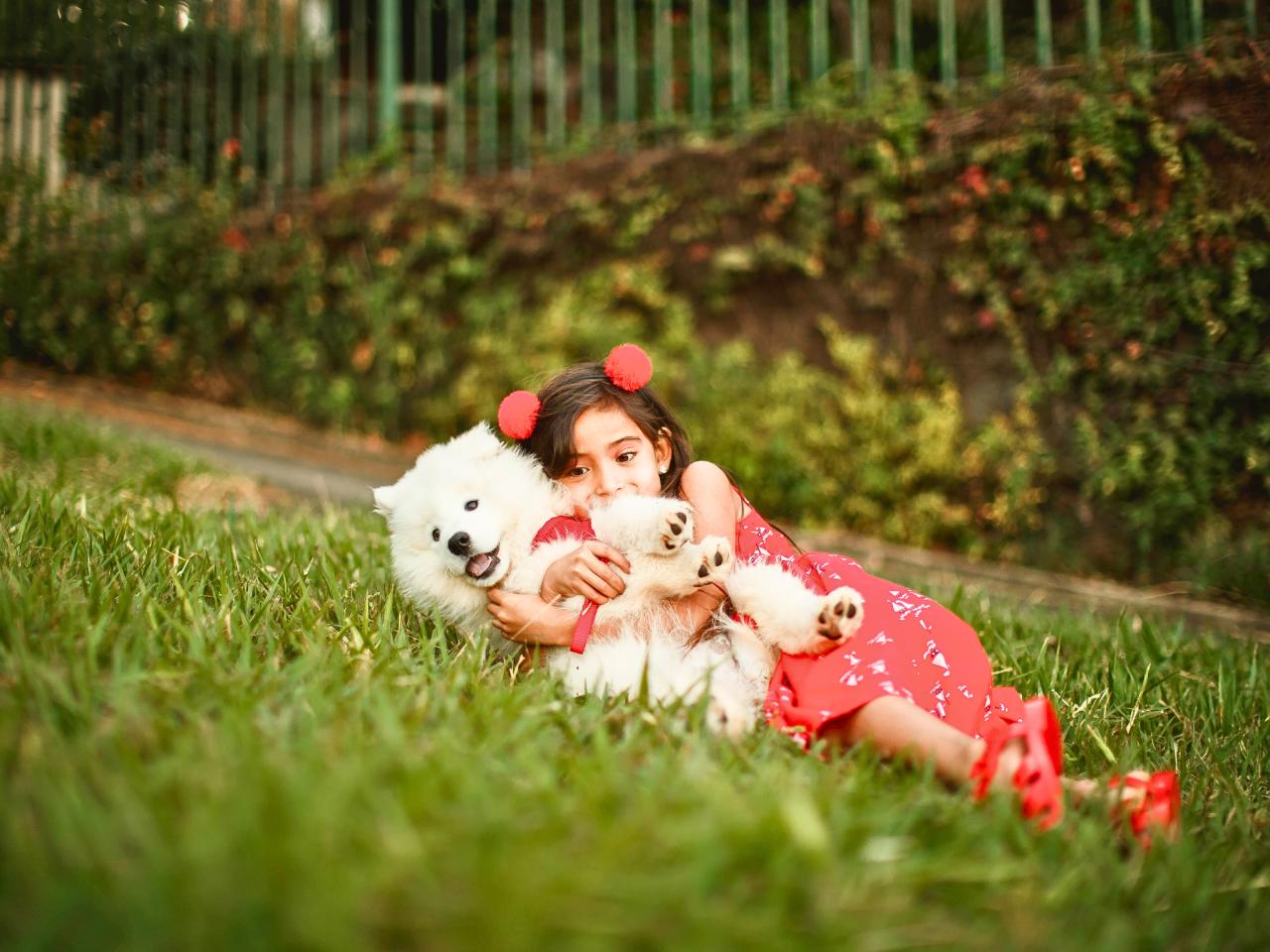 Vendita Quadrivani, Jesi foto
