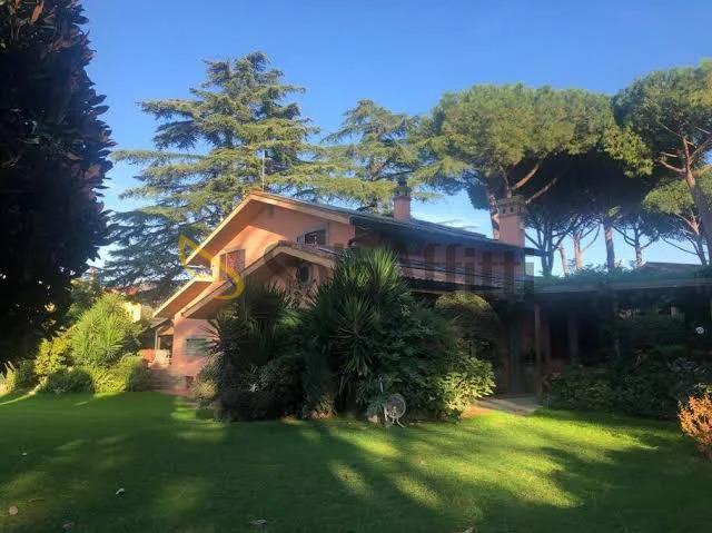 Affitto Quadrivani, Marino foto