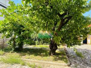 Vendita Pentavani, Ravenna