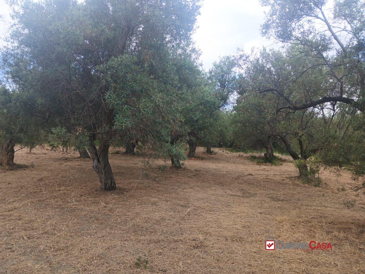 Vendita Terreno, Caltagirone foto