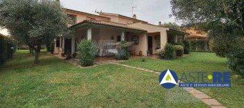 Vendita Pentavani, Tarquinia Vendita Pentavani, Tarquinia foto