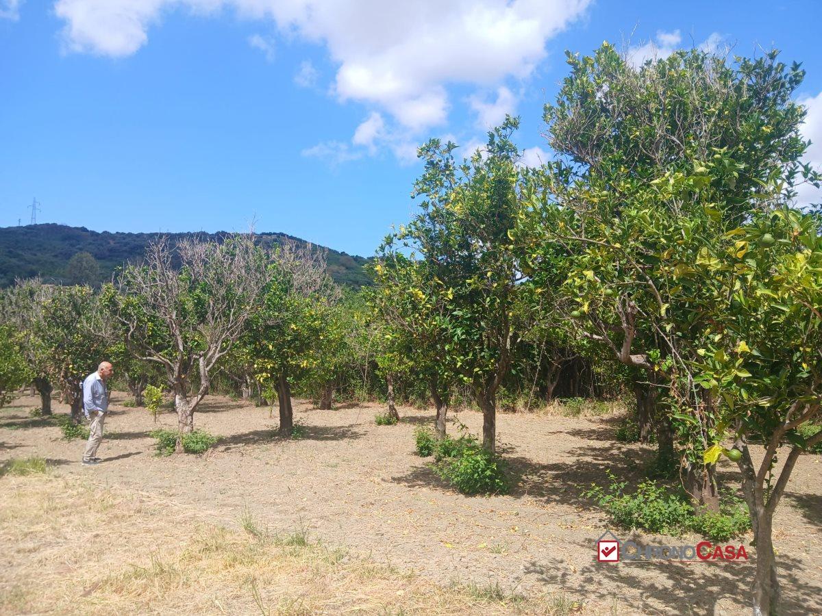 Vendita Terreno, Pace del Mela foto