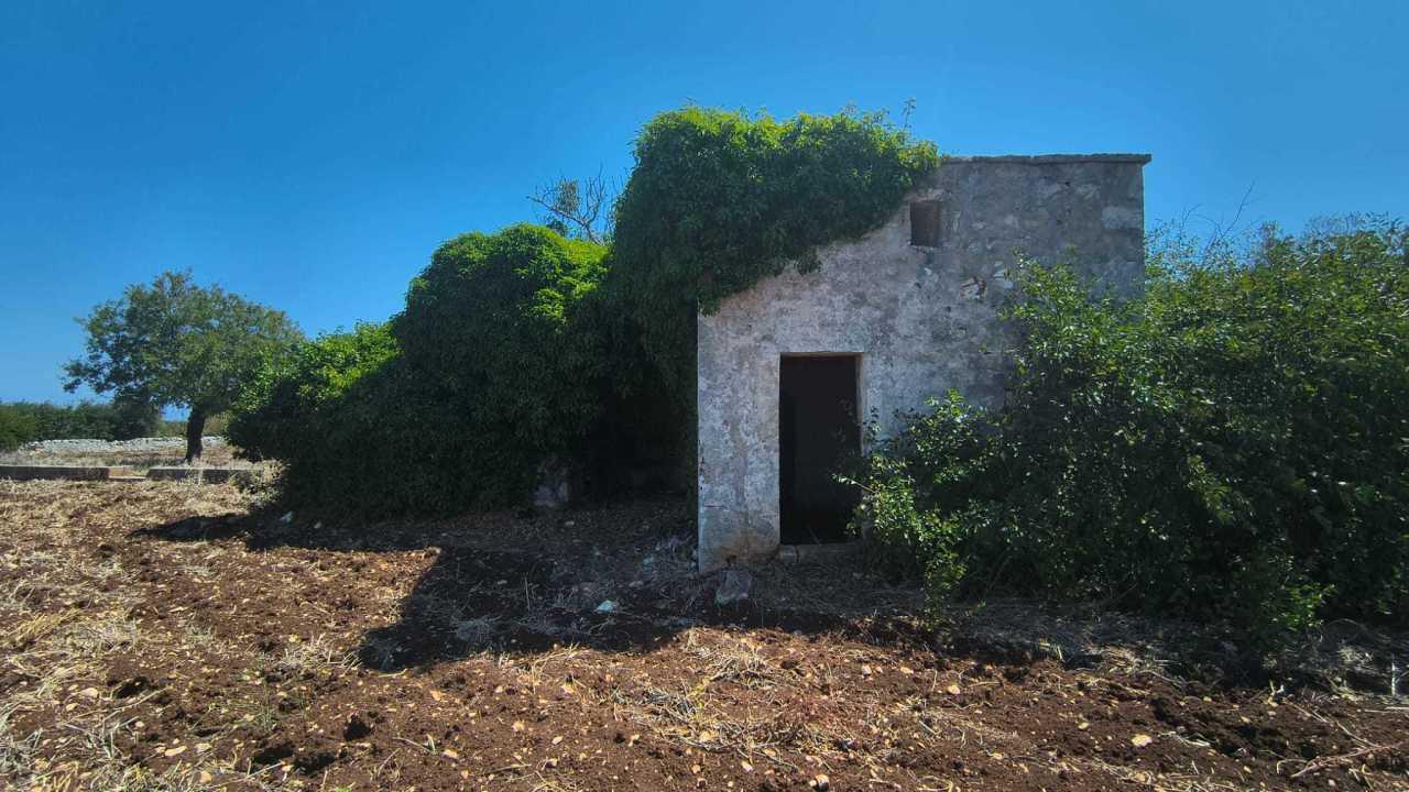 Vendita Terreni, Polignano a Mare foto