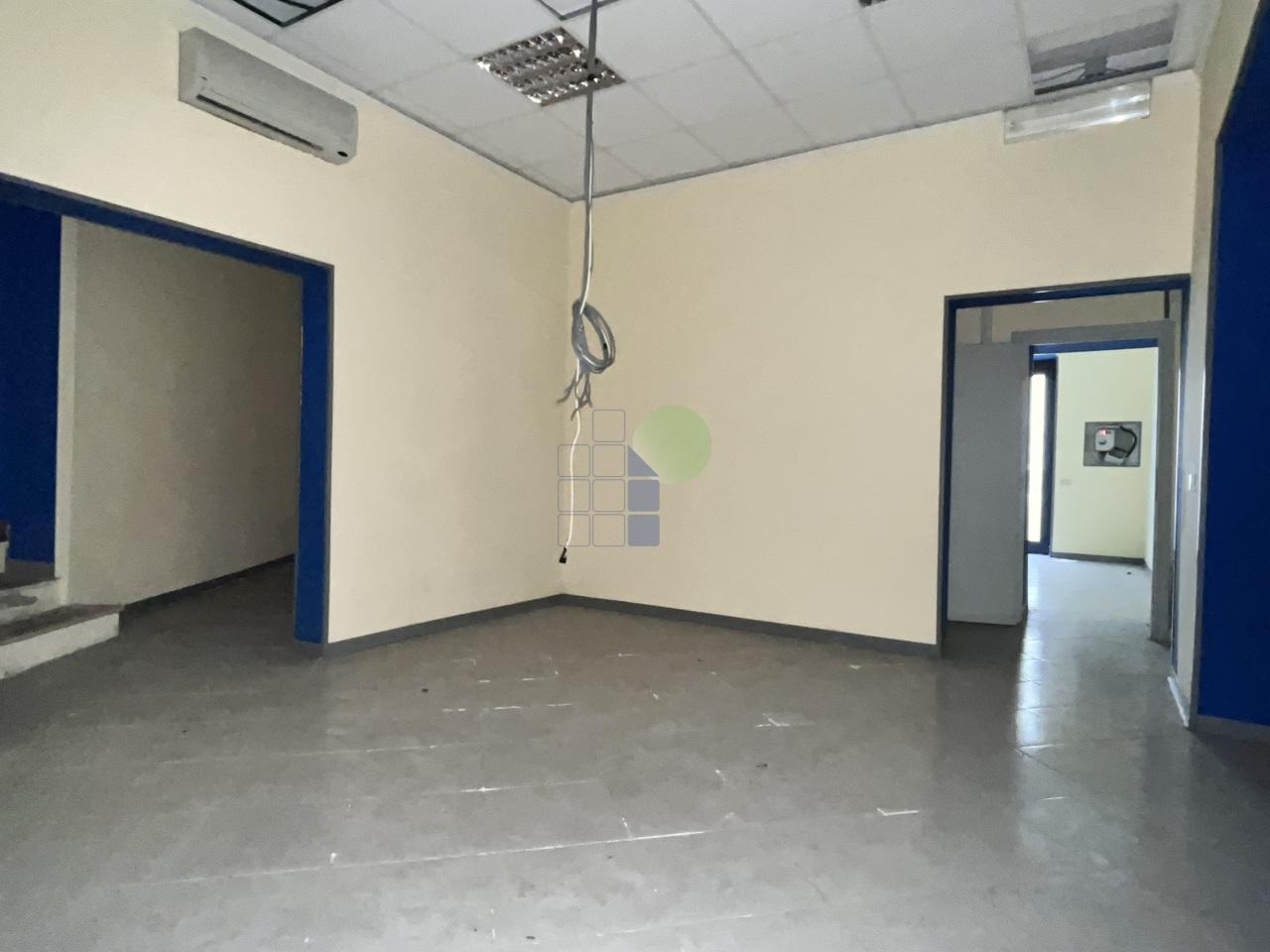 Affitto C, Livorno foto