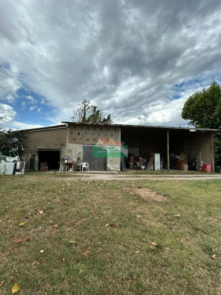 Vendita Multivani, Ravenna foto