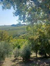 Vendita Terreno Agricolo, Brisighella Vendita Terreno Agricolo, Brisighella