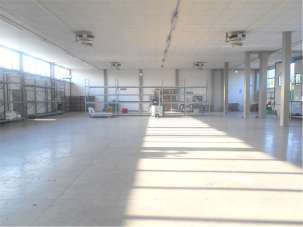 Affitto affitto, Capannori