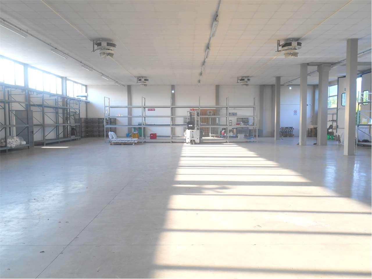 Affitto affitto, Capannori foto