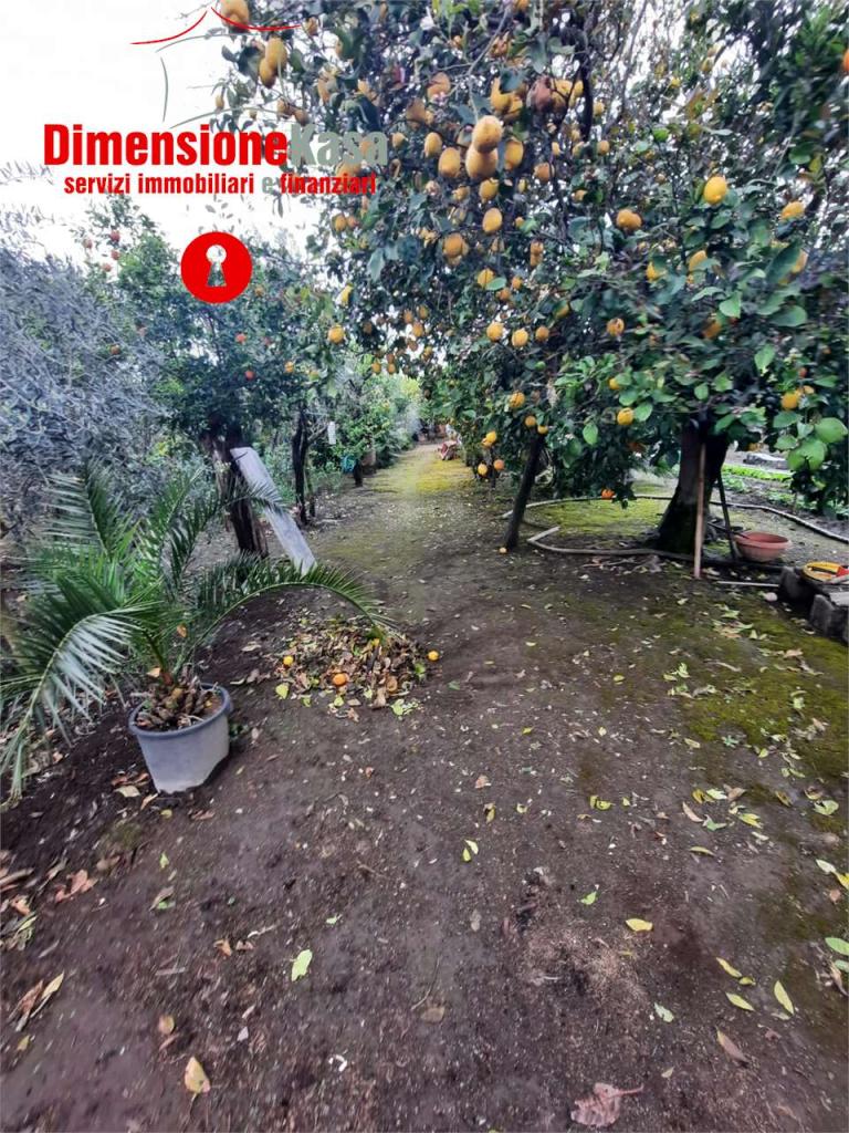 Vendita vendita, San Felice a Cancello foto